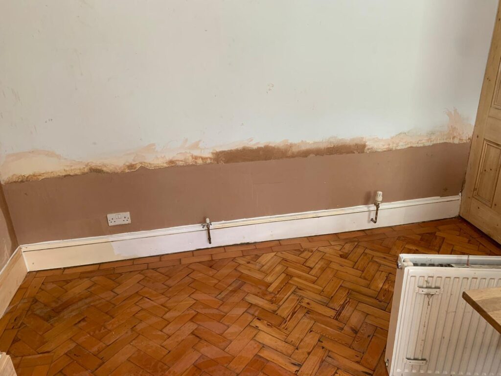 Freshly replastered wall after damp treatment