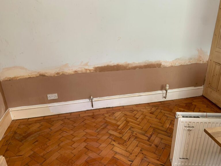 Freshly replastered wall after damp treatment